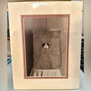 Cat In A Bag Print by Randy Moravec